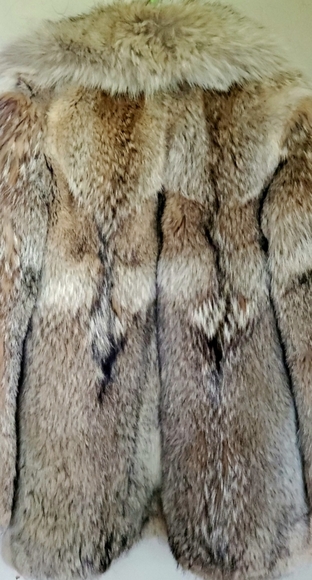 Luscious Coyote Fur Stroller sz M - Picture 6 of 17